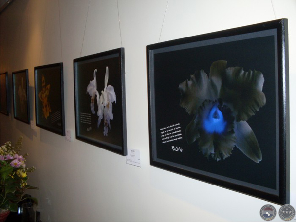KUÑA - VERNISSAGE EN HOMENAJE A LA MUJER PARAGUAYA (ROSANNA LÓPEZ VERA)